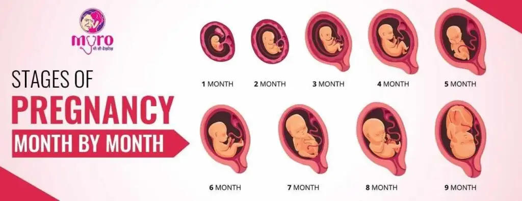Hãy để chú chim bú mang lại sức sống mới cho từng khoảnh khắc trong cuộc sống bạn!